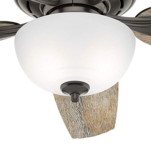 Hunter Fan 54 inch Casual Noble Bronze Indoor Ceiling Fan with Light