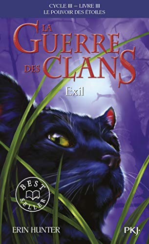 La guerre des clans : le pouvoir des étoiles (Cycle III), Tome 3 : Exil by 