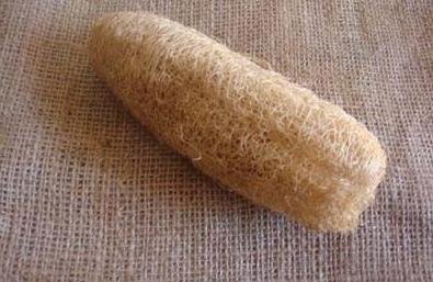 100% Pure Castor Oil 16 oz - Best Massage Oil & Moisturizer for Hair and  Skin: Amazon.in: Home & Kitchen