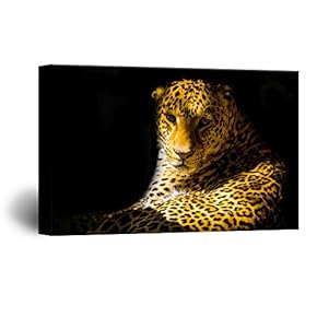 Canvas Wall Art - A Leopard from Black Background - Giclee Print Gallery Wrap Modern Home Art Ready to Hang - 12x18 inches