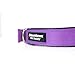 Downtown Pet Supply Deluxe Dog Collar - Padded Adjustable Dog Collar with Metal Buckle & D-Ring - Machine Washable & Water Resistant Thick Dog Collar - Purple - L - Large Dog Collar