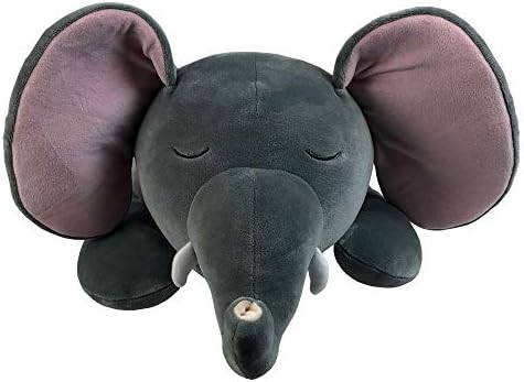 merle american bulldog for sale