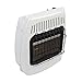 Dyna-Glo BF10NMDG 10,000 BTU Natural Gas Blue Flame Vent Free Wall Heater
