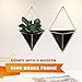 Geometric Wall Planter Set of 2, Decorative Hanging Planters with Brass Wall Decor Frame, Modern Wall Plant Holders in Black, Terrarium Planters for Succulents, Cactus Plants, Wall Plants & More