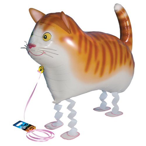 My own pet balloons cat domestic animal