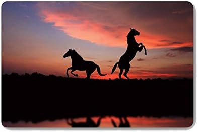 Gwein Animal Horse Doormat Entrance Mat Floor Mat Rug Indoor Outdoor Front Door Bathroom Mats Rubber Non Slip (23.6"x15.7",L x W)