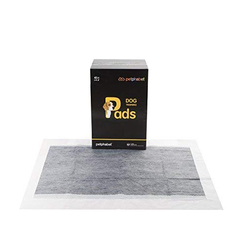 Pet Training Puppy Pads, 34" x 28" XXL-Large, Ultra Absorbent - All Day Premium Dog Pads - 20 Count, 42 Count,50 Count by Petphabet (42-Count-carbon)