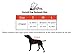 Dog Saddlebag Backpack Adjustable Tripper Hound Travel Backpack Bag Rucksack for Medium & Large Dog Camping Hiking, Detachable Pack Instantly Turns into Harness(L)