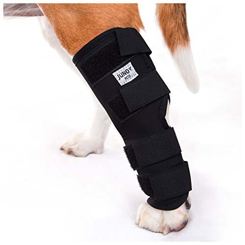 Top 10 Best Horse Leg Wraps For Arthritis Best of 2018 Reviews No