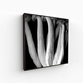Canvas Wall Art for Living Room, Bedroom Monochrome Image Framed Canvas Prints for Home Decoration Ready to Hang - 16x16 inches