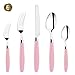 Hoften Pink Silverware Set, 20 Piece Stainless Steel Flatware Set Include Fork Spoon Knife Utensils for Daily Use Parties and Family Dinners, Service for 4, Safe in Dishwasher(HF017-PI)