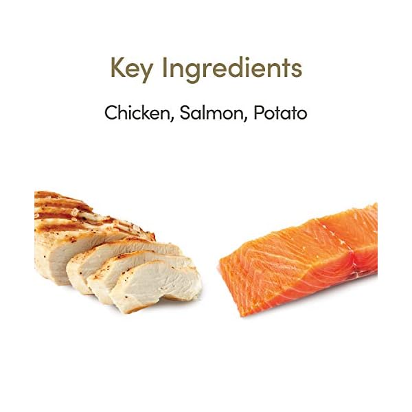 Applaws-Grain-Free-Dry-Cat-Food-Chicken-and-Salmon-2kg Applaws Complete and Grain Free Dry Adult Cat Food, Chicken with Salmon, 2kg (Pack of 1)