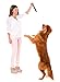 Pet Eden Sweet Potato Chicken Dog Treats Made in USA Only, Grain-Free, All Natural Jerky Sticks for Small and Large Dogs, 1 lb