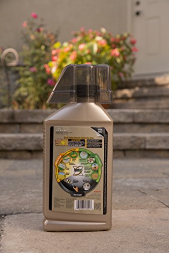 4 Roundup+5705010+Extended+Preventer+Concentrate