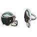 Philidelphia Eagles Cupcake Rings 24 Count