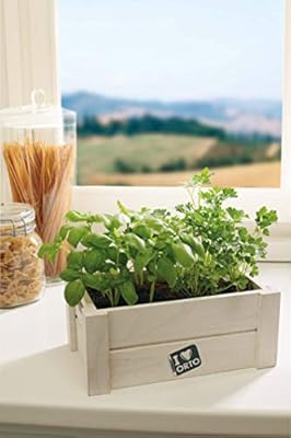 Verdemax 2220 Easyorto-albahaca y perejil, Blanco: Amazon.es: Jardín