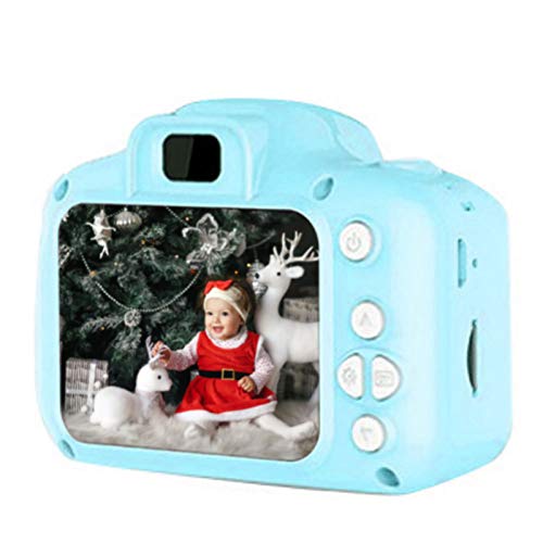 6 Festnight+Childrens+Student+Digital+Birthday