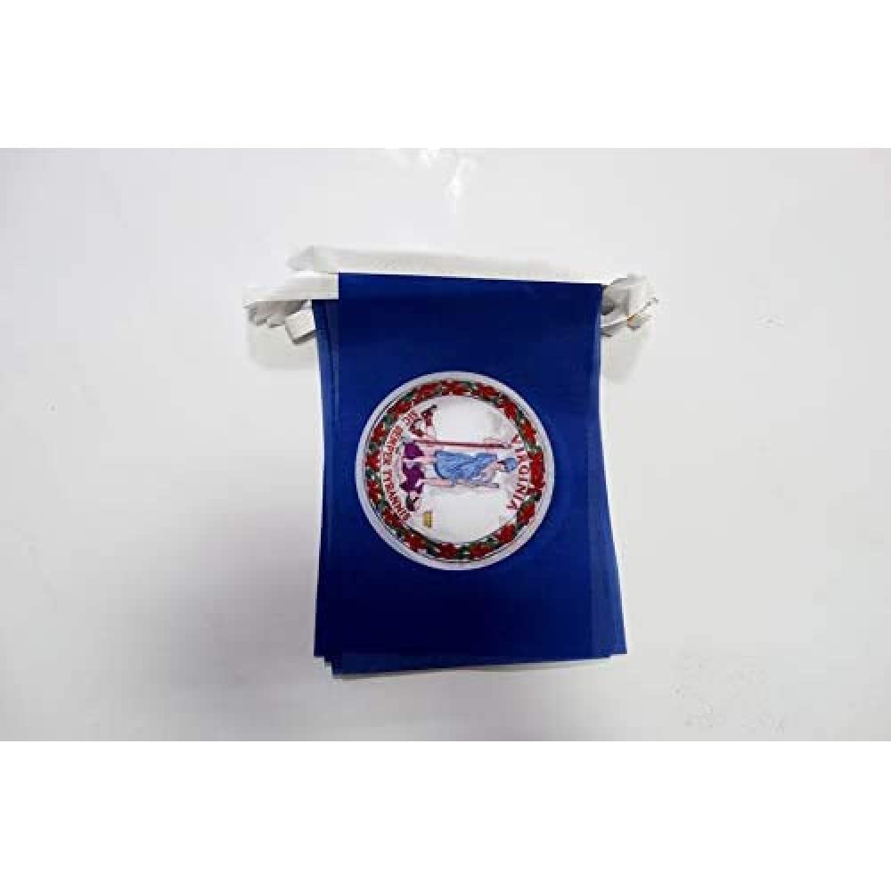 AZ FLAG Virginia Bunting Flag, 20 Ft Garland 20 Small US state of Virginia Flags 8'' x 6'', 100% Polyester String Pennant, 6 meters