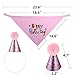 Blaoicni Dog Birthday Bandana Hat Scarf Party Supplies (Pink-Girl)