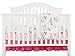 Pink Floral Ruffle Baby Minky Blanket Water Color, Pink Floral Nursery Crib Skirt Set Baby Girl Crib Bedding (4 Pieces Set)