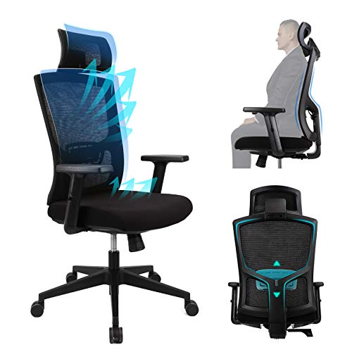Ergousit Ergonomic Office Chair High Back Desk Chair with Adjustable Lumbar Support &Thick