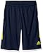 adidas Boys' Big Boys' Core Short, Collegiate Navy/Shock Slime, Medium/10-12