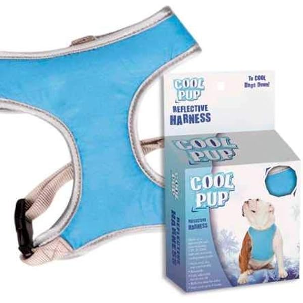 cooling gear for dogs