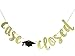 Case Closed Banner, Law School Graduation Banner, Law School Graduation Party Decorations