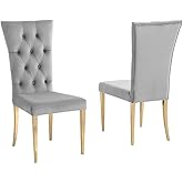 Best Master Furniture Terracotta Gray Velvet Dining Chairs in Gold (Set of 2)