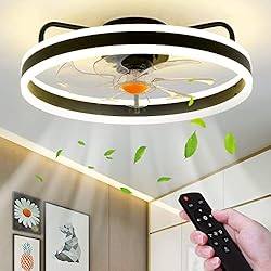Mpayel Low Profile Ceiling Fans with Lights Remote