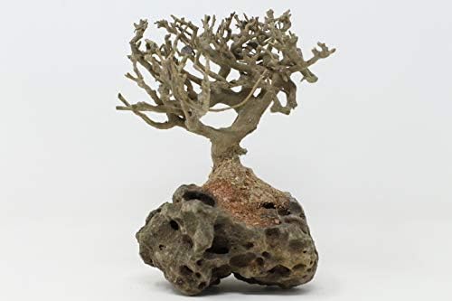 bonsai fish tank decorations