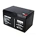 Amstron 12V/12AH Sealed Lead Acid Battery w/ F2 Terminal
