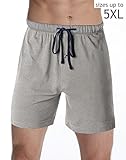 Hanes Men's Logo Knit Shorts 2-Pack Blue Depth-Active Grey Heather M Hanes Men's Logo Knit Shorts 2-Pack