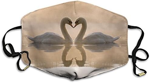 Breathe Healthy Face Mask Loving Swans Comfortable, Reusable - Filters Dust,Pollen,Allergens,&amp; Flu Germs Dust Mask
