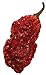 Wicked Tickle 10 Whole Ghost Pepper Dried Intact Seed Pods Plus 2 Free, Super Hot primary