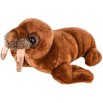 Amazon.com: Wild Republic Walrus Stuffed Animal, 15-Inch: Toys & Games