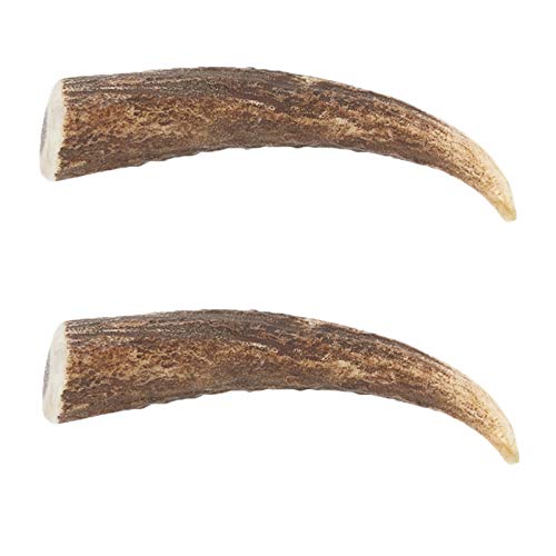 Ace Antlers Deer Antlers for Dogs (2 x Small Pieces) - Natural Dog Antler Chews for Chewing Satisfaction - 8 Sizes inc Small, Medium and Large Antlers for Puppies and Adult Dogs — image 1