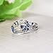 New Arrival Handmade Blue Color Dried Flowers Transparent Resin/Plastic Women/Men's Charm Ring