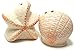Coastal Life Salt and Pepper Shakers, Seashell Beach Theme Salt Shaker and Pepper Shaker Set, Small for Eternal Summer
