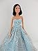 A Light Blue Ball Gown with Lots of Sparkle Made to Fit the Barbie Doll