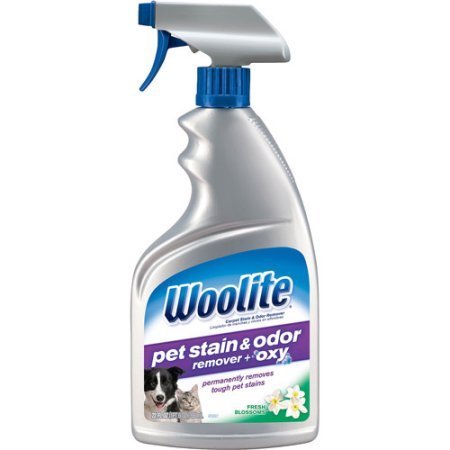 Woolite pet stain and odor remover spray bottle, 22 fl oz