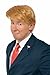 Mr. Billionaire Wig Adult Costume Accessory