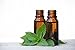 AROMATA Peppermint Essential Oil (mentha arvenisis)- Enjoy the research-proven, soothing, therapeutic health benefits of this premium-quality, undiluted, therapeutic-grade peppermint oil