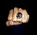 EVBEA Skull Rings for Men Big Biker Rock Mens Motorcycle Jewelry(wt,10)