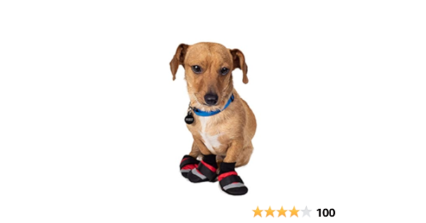 scott pet nylon dog boots