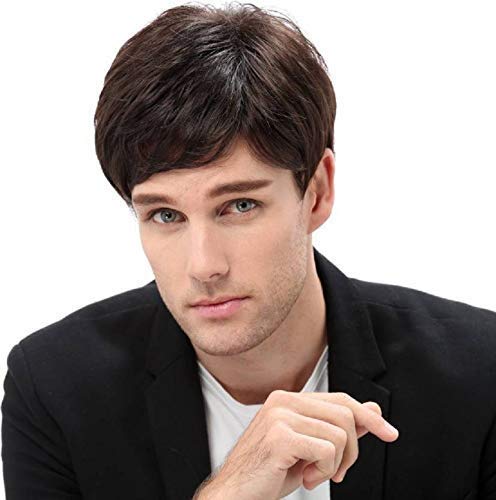 Glan Men Wig Short Straight Hair Synthetic Full Wigs Natural