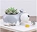 Youfui Cute Dog Flowerpot Resin Succulent Planter Desk Mini Ornament (Schnauzer Pot)