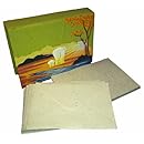 Mr dung essay 07 image