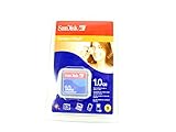 Sandisk 1GB CompactFlash Card (SDCFB1024800)