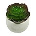 Houseables Artificial Succulent Plants, Fake Plant, 6 Pack, 4.25